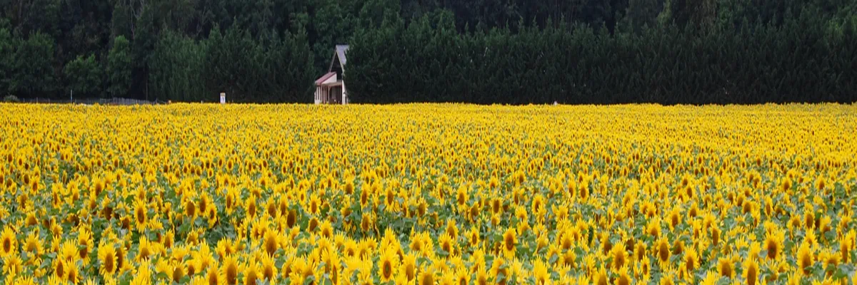 Image Entreprise borne de recharge Centre-Val de Loire