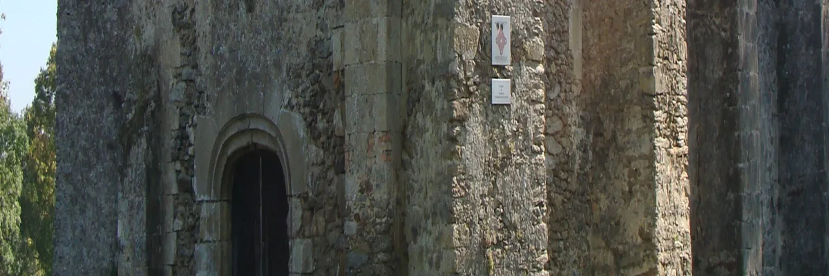 Image Entreprise borne de recharge Challans