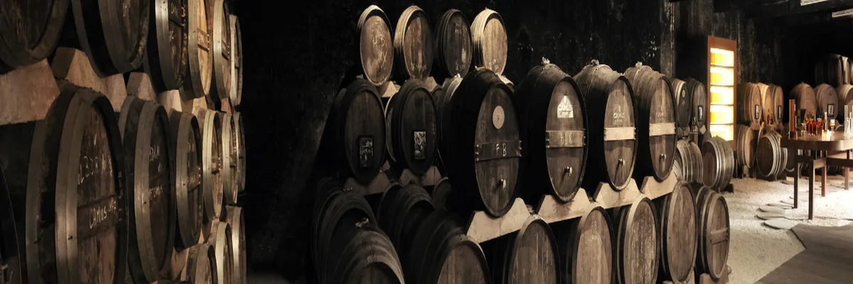 Image Entreprise borne de recharge Cognac