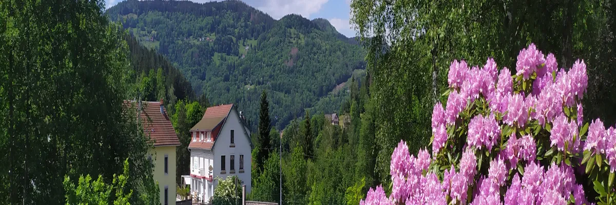 Image Entreprise borne de recharge Cornimont