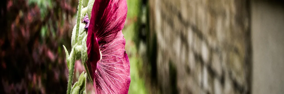 Image Entreprise borne de recharge Éragny