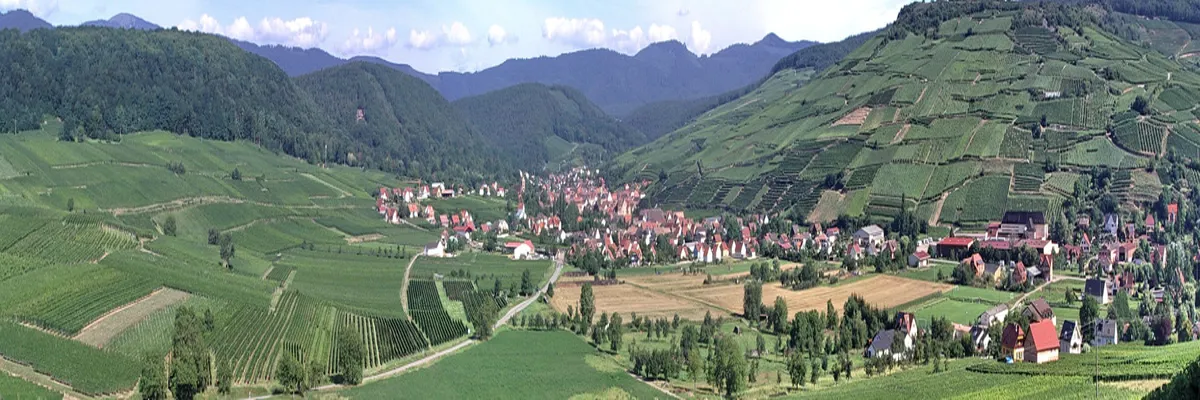 Image Entreprise borne de recharge Grand Est