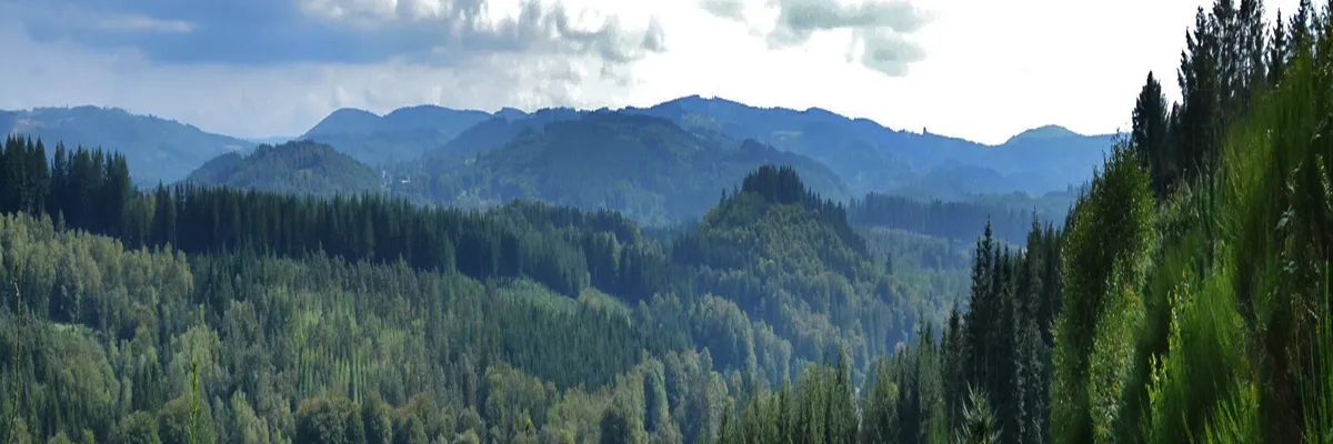 image-entreprise-borne-de-recharge-haute-vienne.webp Image Entreprise borne de recharge Haute-Vienne