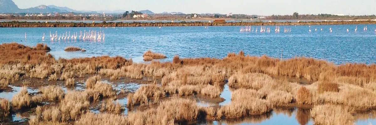 Image Entreprise borne de recharge Lattes