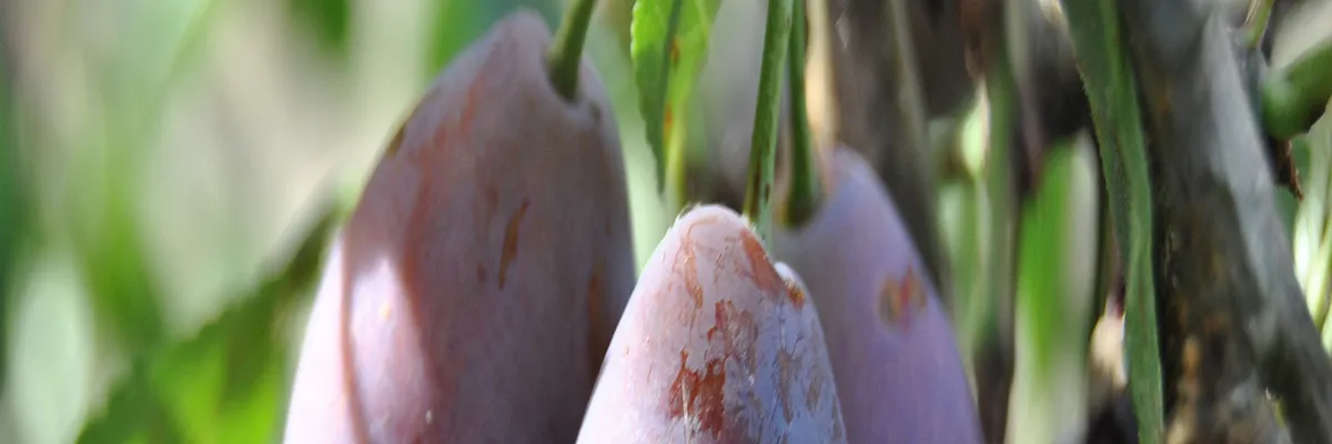 Image Entreprise borne de recharge Lot-et-Garonne