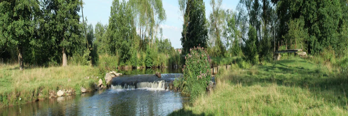 image-entreprise-borne-de-recharge-meurthe-et-moselle.webp Image Entreprise borne de recharge Meurthe-et-Moselle