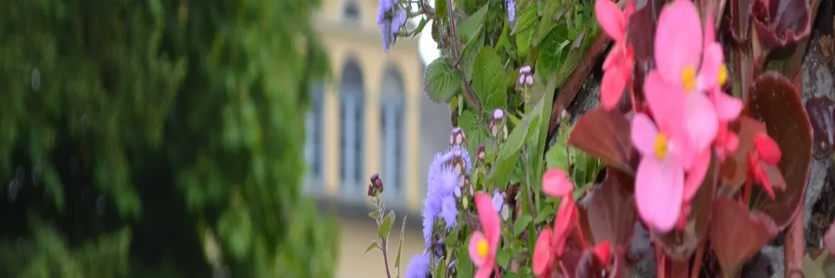 Image Entreprise borne de recharge Saint-Étienne-au-Mont