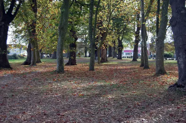 Borne de Recharge Maison Entreprise borne de recharge Idron