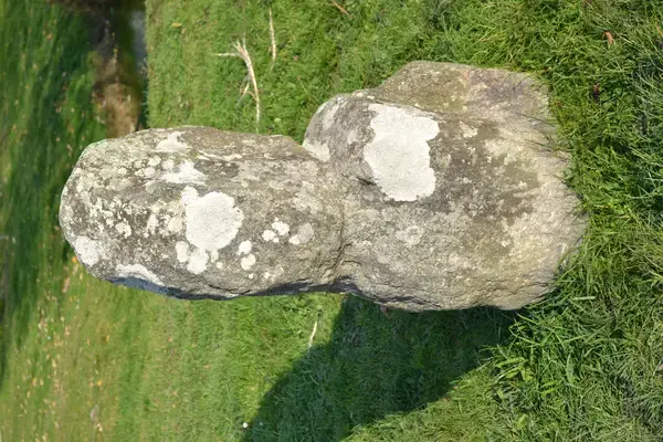 Borne de Recharge Maison Entreprise borne de recharge Prinquiau